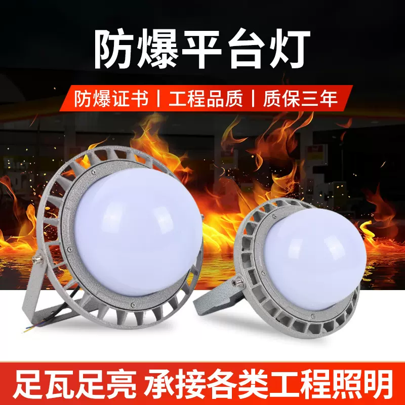 防爆平台灯电厂泛光灯车间工厂房照明防爆型灯罩50W防爆平台灯