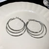70 Silver Needle-Silver