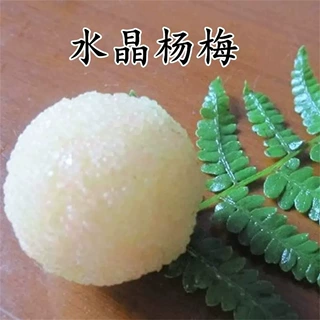 批发杨梅树苗 大果型白杨梅--水晶杨梅苗(白沙杨梅)果树苗木当年