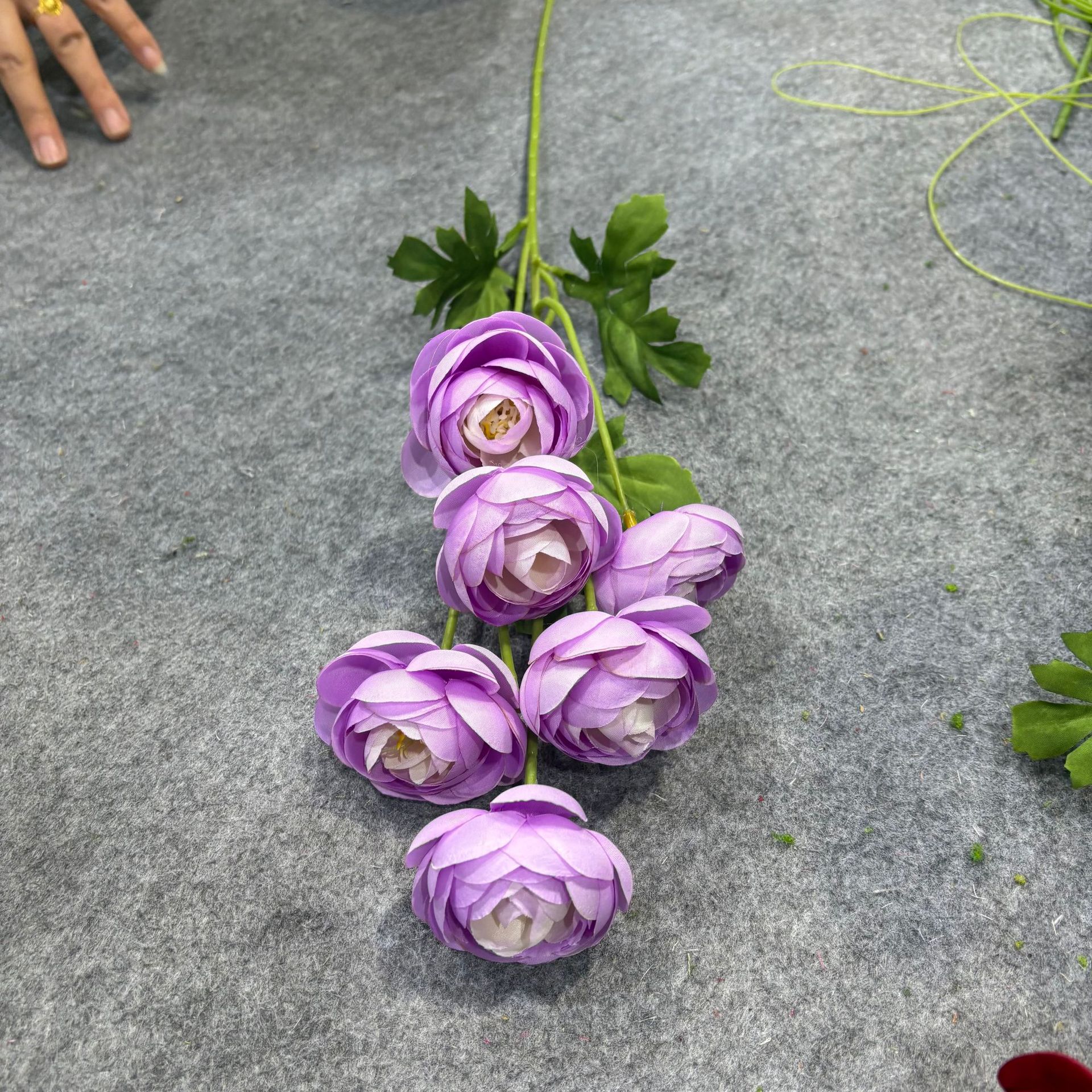 연한 보라색