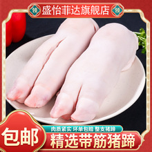 8只猪蹄整只带筋猪脚新鲜猪手前蹄后蹄整箱冷冻批发生猪肉生鲜2只