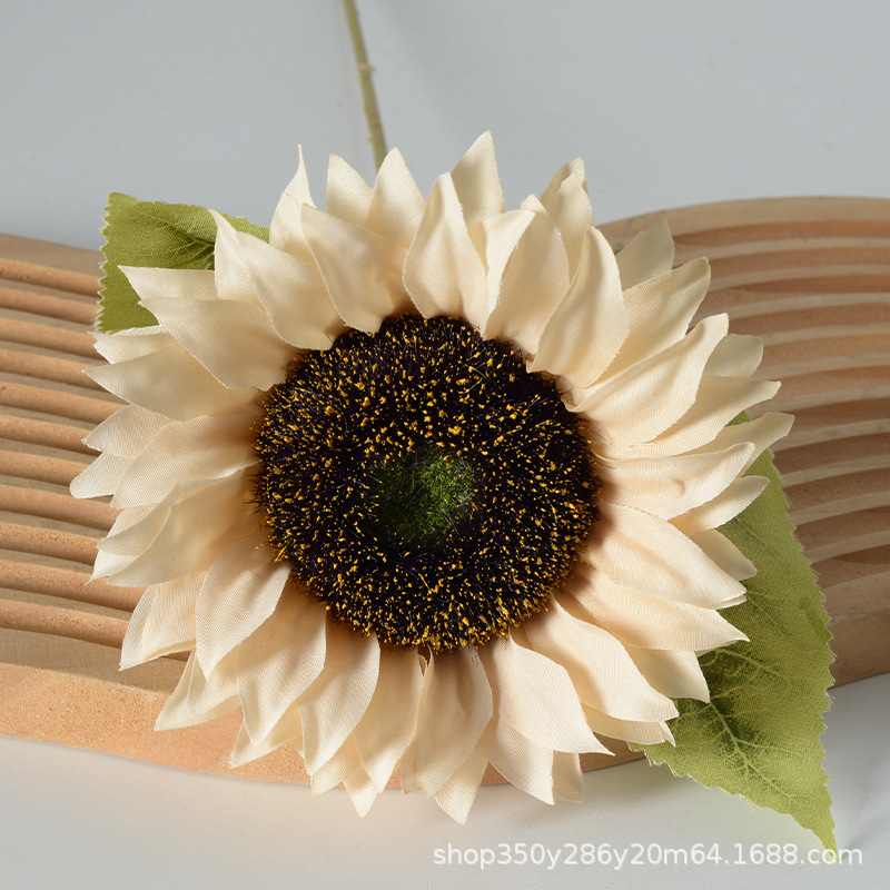 El nuevo champán Sunflower