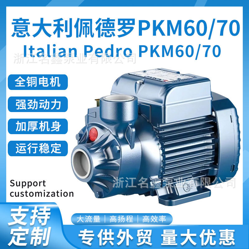 Bomba de refuerzo de agua del grifo de vórtice PKM60 Máquina herramienta italiana 220v110v Bomba de aceite de circulación centrífuga de alta presión