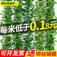 跨境仿真藤条绿萝叶装饰假树叶绿藤藤蔓塑料花藤管道遮挡空调绿叶