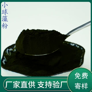 源头工厂生产热风干燥小球藻粉 原粉食品级1斤起现货批发量大优惠