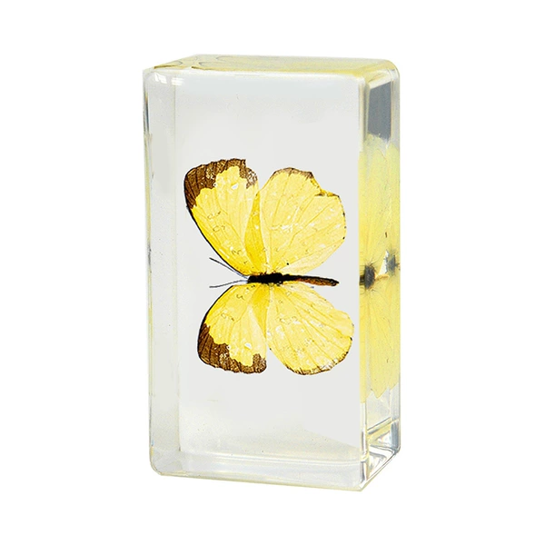 7.3CM Medium Small Yellow White Butterfly