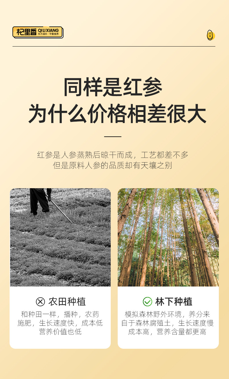 Red Ginseng Slices 25g Jar Jilin Hong Shen for Soup and Wine Soaking Large Slices overview
