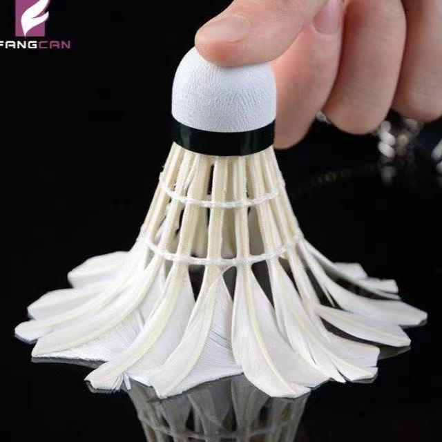 0f3da1c6-fc83-41bb-8738-7697d87a07a8.jpe