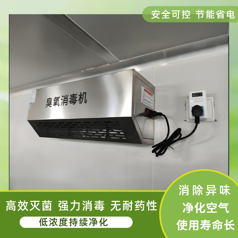 壁挂式臭氧发生器垃圾房除臭空气净化食品厂车间臭氧消毒机