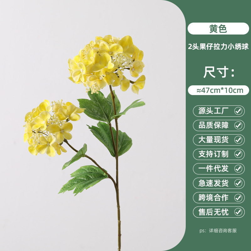 작은 수국을 당기는 노란색 2 머리 과일
