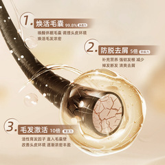 Ginger Head Therapy Shampoo Oil Control Anti-Dandruff Anti-hair Loss Hair Growth Shampoo Cream Old Ginger King Shampoo Manufacturer Wholesale