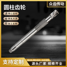 金属定制圆柱齿轮小型精密传动机械电机轴加工挤出机斜齿小齿轮