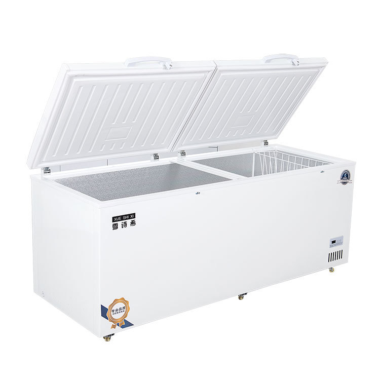 Congelador Xueshixi Congelador comercial horizontal de gran capacidad refrigerado Congelador grande de doble uso Refrigerador de temperatura simple y doble