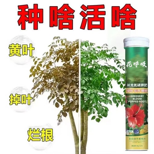 【General Type for Germany】Flowering Plant Potted Green Plant Fruit and Vegetable General Purpose Household Gardening Fertilizer Manufacturer