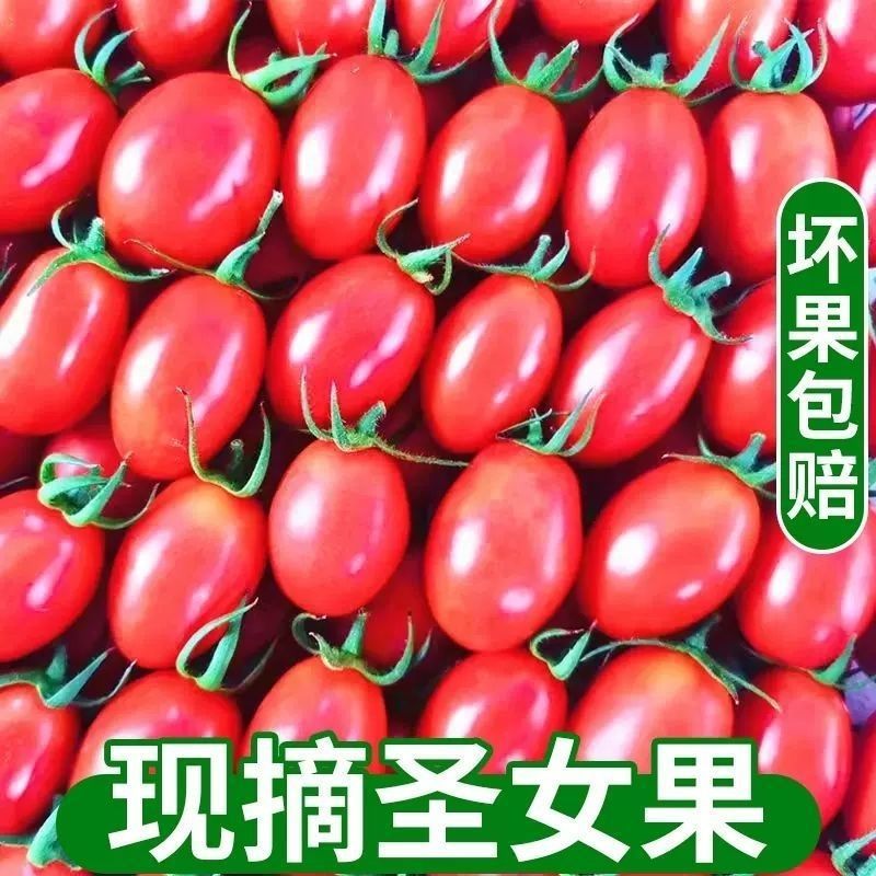 Huaze- 1.5kg개의 큰 과일 선택