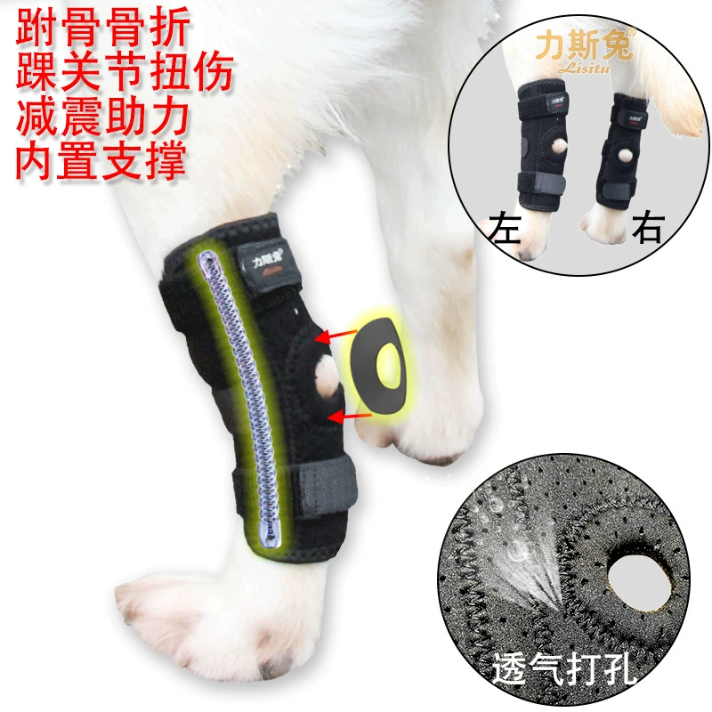 Защитный чехол для суставов собаки связывает старую собаку с задней ногой