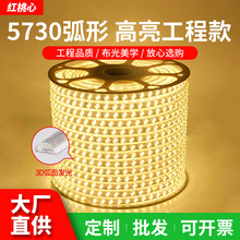 led灯带5730高压220v高亮120珠180珠双排户外批发灯条室外高亮度
