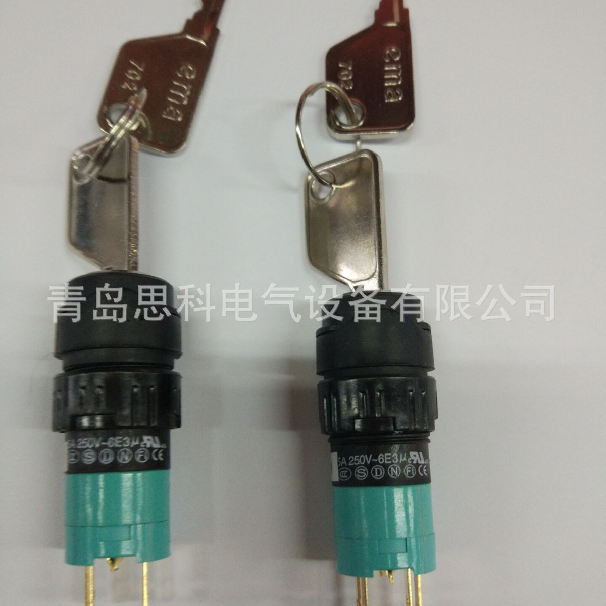 全新原装正品EMA16MM钥匙开关01K-CA65.Q1P*V1*702