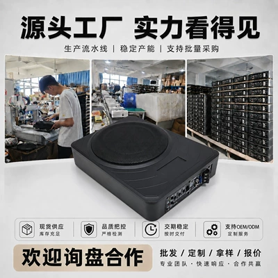 amplifier, delivering pure bass for – Car speaker/subwoofer