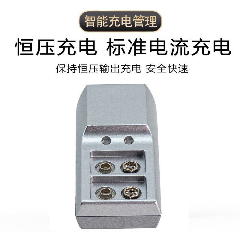 Nimh 9v dedicated charger