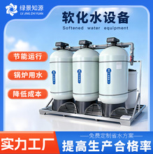 全自动锅炉软化水设备农村井水地下水除水垢泥沙过滤器软水机厂家