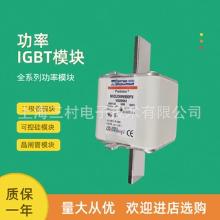 全新熔断器保险丝NH000UD69V40PVC320047 NH000UD69V50PV G320051