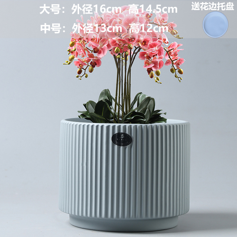 Athens lovesickness gray (with plastic tray)