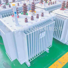 萬鑫S13-5000KVA/10KV-1.12全銅三相油浸式電力配電變壓器