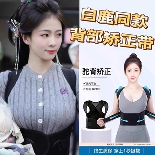 White Deer's Same Style Beibejia Hunchback Corrector for Men and Women, Adult Posture Correction Belt, Back Stretching Correction and Beautiful Back