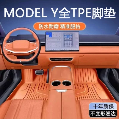 Modelə uyğun ayaqaltı — Pure Electric Car Floor Mats