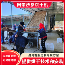 沙参烘干机网带式 全自动白参川明参干燥设备 沙参切片烘干流水线