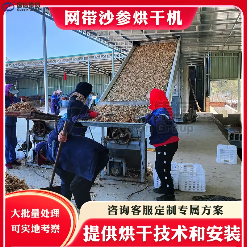 沙参烘干机网带式 全自动白参川明参干燥设备 沙参切片烘干流水线