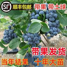 {ݮ{ݮԵԹ玧ϱNֲ۾Gʯ