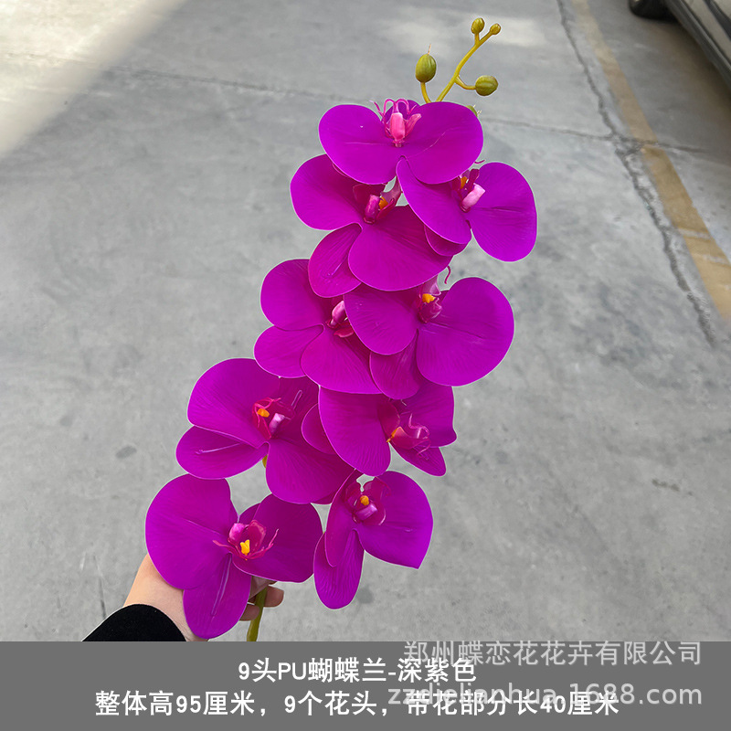 PU9 cabeza púrpura oscuro