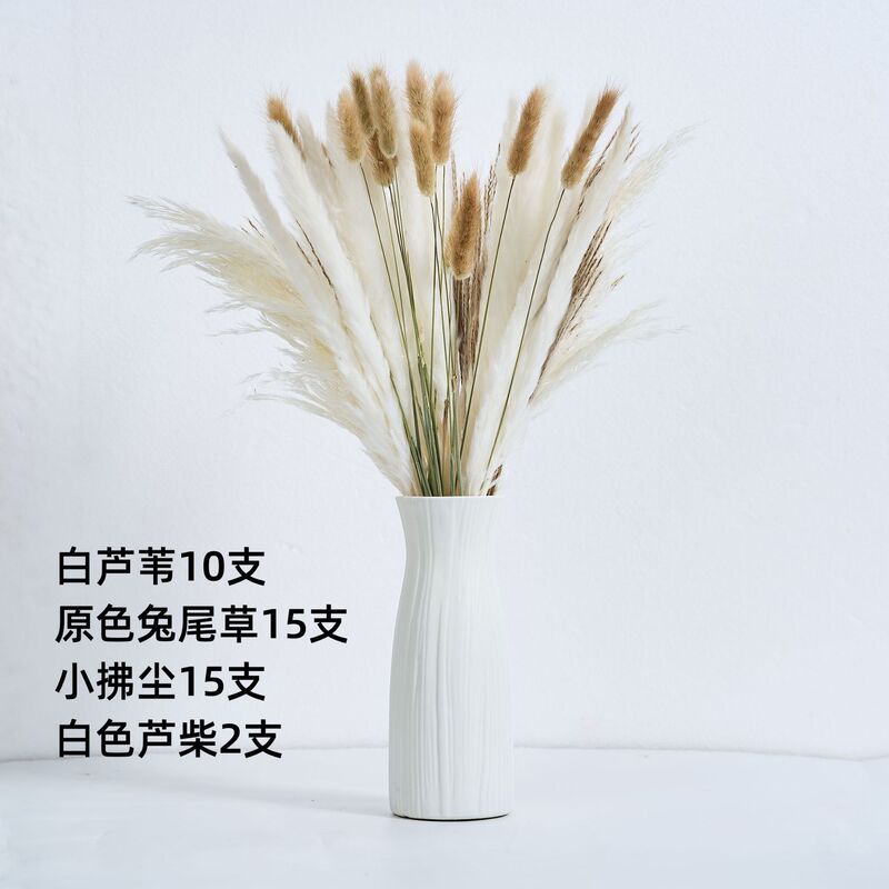 アマゾンはよく売れています。葦の花の花束です。|undefined