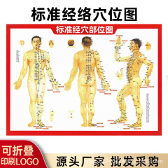 人体のツボの経絡図の卸売りの標準的な経穴の部位図の全身のツボ図の灸の本の図解の説明書
