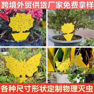 �羳����ճ�x�宐����x�����Q�����Π����x�����p��ճ�x��