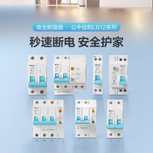 Air Switch Bull Leakage Protector Household Leakage Protector Circuit Breaker Electric Gate Knife Air Switch Hot Selling Safety
