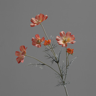 �S��؛Դ�Ҿ��b�c�ٻ���@��ˇ���滨������ɣ��С�ջ���˹��