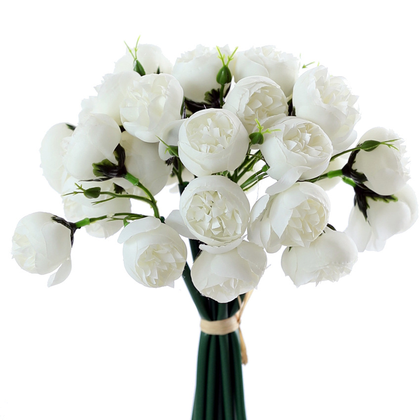 hmqViviiyNSAyin8WuaStzsW1pJbf0uEQq0Z