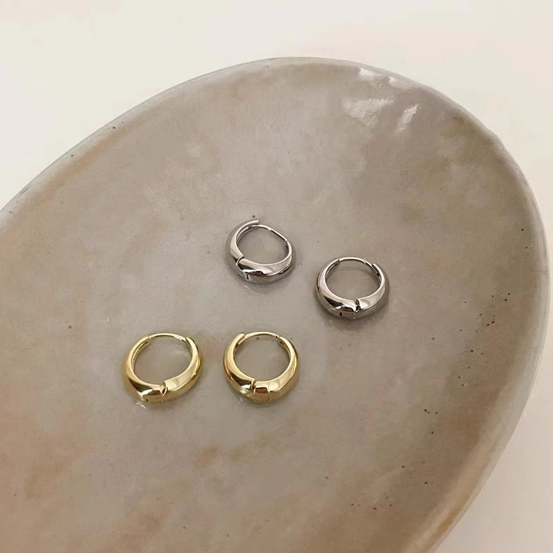 Advanced Sense Metal Circle Earrings Light Luxury Niche Design Sense Ear Buckle 2024 New Fashionable Hot Style Ear Ring for Women