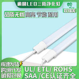 防潮冷库车间厂房户外防水椭圆形防爆IP65三防一体灯管LED净化灯