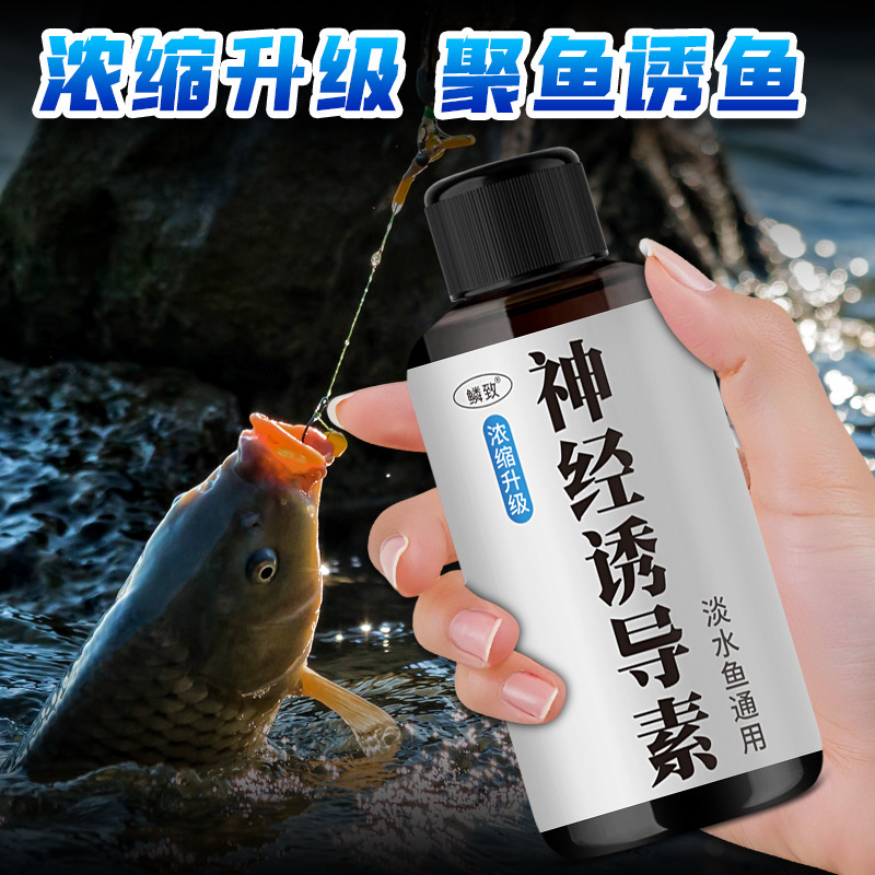 钓鱼小药开口剂神经诱导素添加剂诱鱼剂钓鱼饵料黑坑野钓饵料鲤鱼|undefined