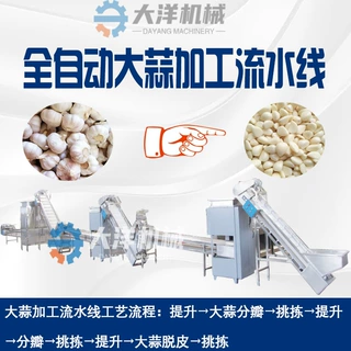 大蒜脱皮流水线连续式大蒜分瓣脱皮生产线扒蒜皮机器大蒜预处理机