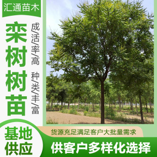 ��乫�@��·ͥԺ�L���ߗU��G����ľ������е��c�Y���~������