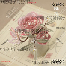 �p�����ϰ�������w����p���l�������O�l�������ģ�l�ڈF��