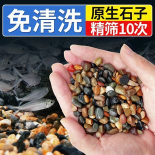 Pure Natural Stream Quicksand Stone Native Fish Tank Paving Stone Pebbles Small Stone Landscaping Decorative Bottom Sand Turtle Tank Thunder Dragon