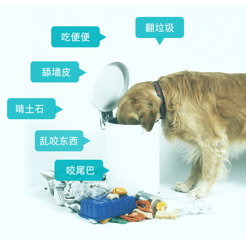 Pet Trace Element Tablets 600 Dog Calcium Tablets Probiotic Tablets Calcium Supplement Strengthens Bones Pica Gastrointestinal Health Products