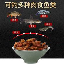 Сș�QӼ�~�D��Ұ�ͨ���T�����~�D���~�D���~�D�a�~�D�Ͼ��﹤�S