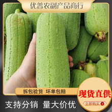 ���ն̰���z�����r ̨�����z����z��ˮ�� �����߲�1-5��